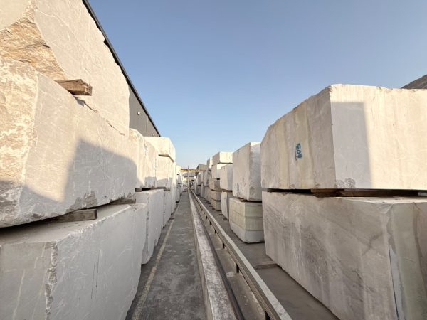 WhatsApp Image 2025-11-29 at 8.48.31 PM